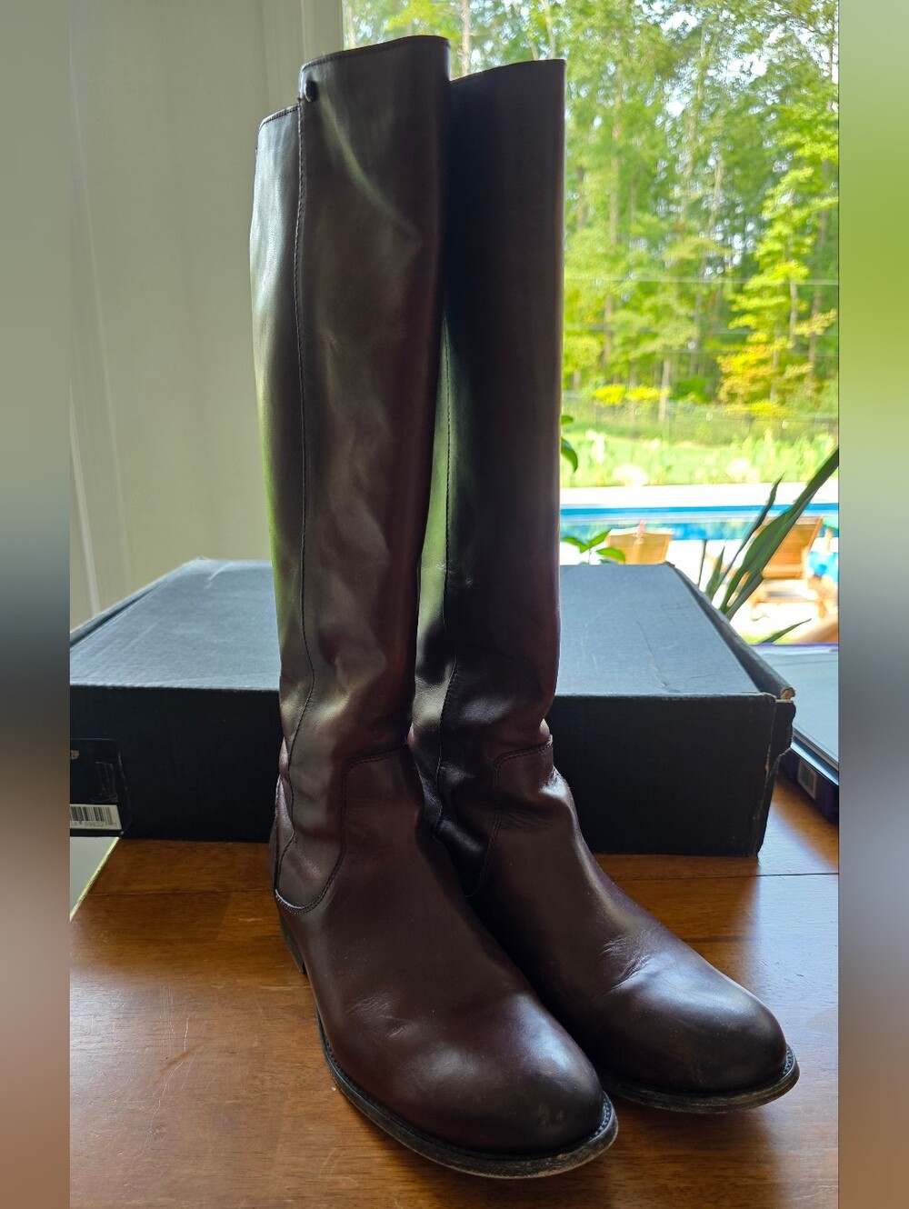 Frye Melissa Stud Back Zip Tall Riding Boots in Redwood